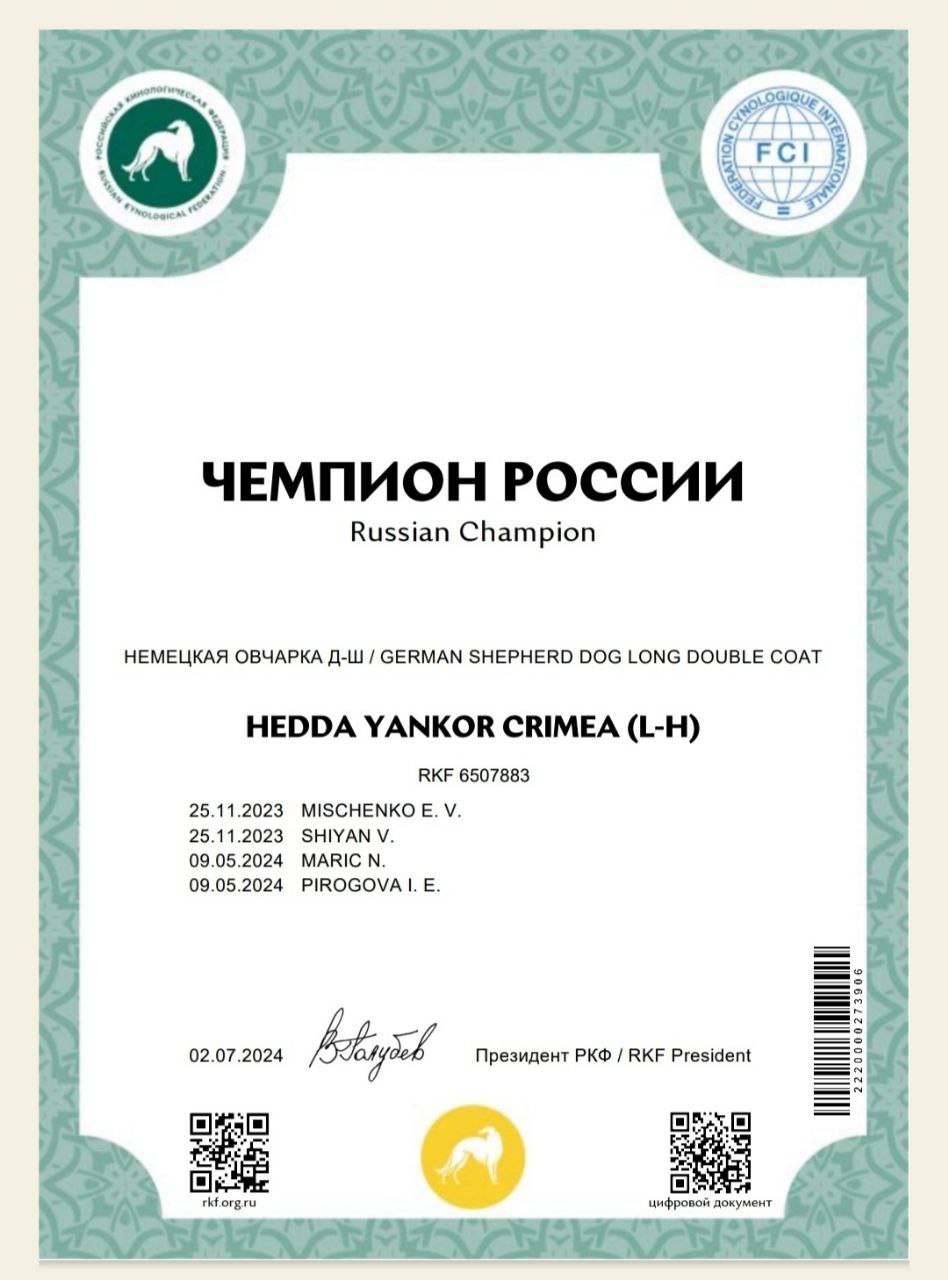  России.jpg